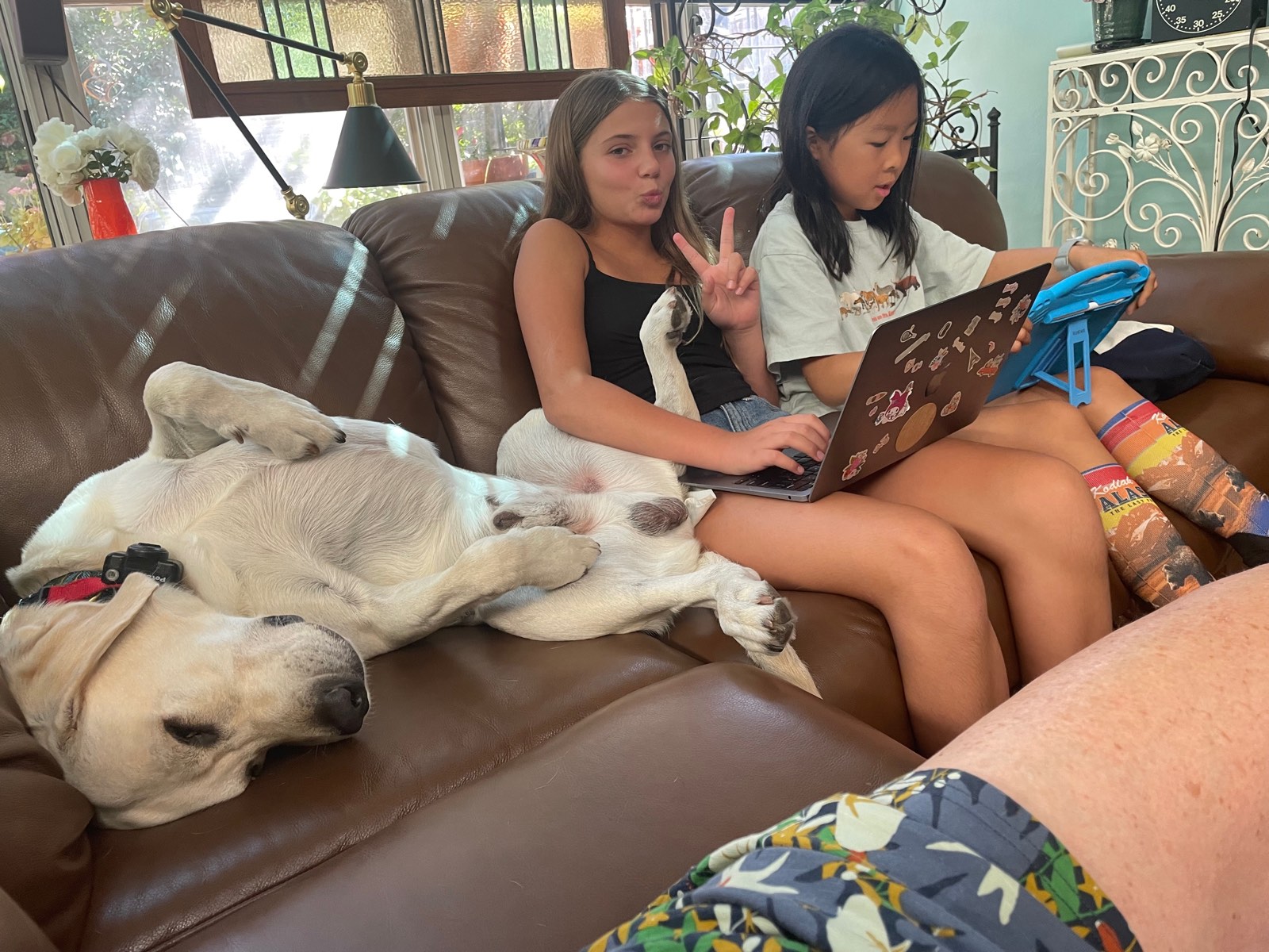 Two students writing on laptops on the big leather sofa while Polar Bear supervises, upside down