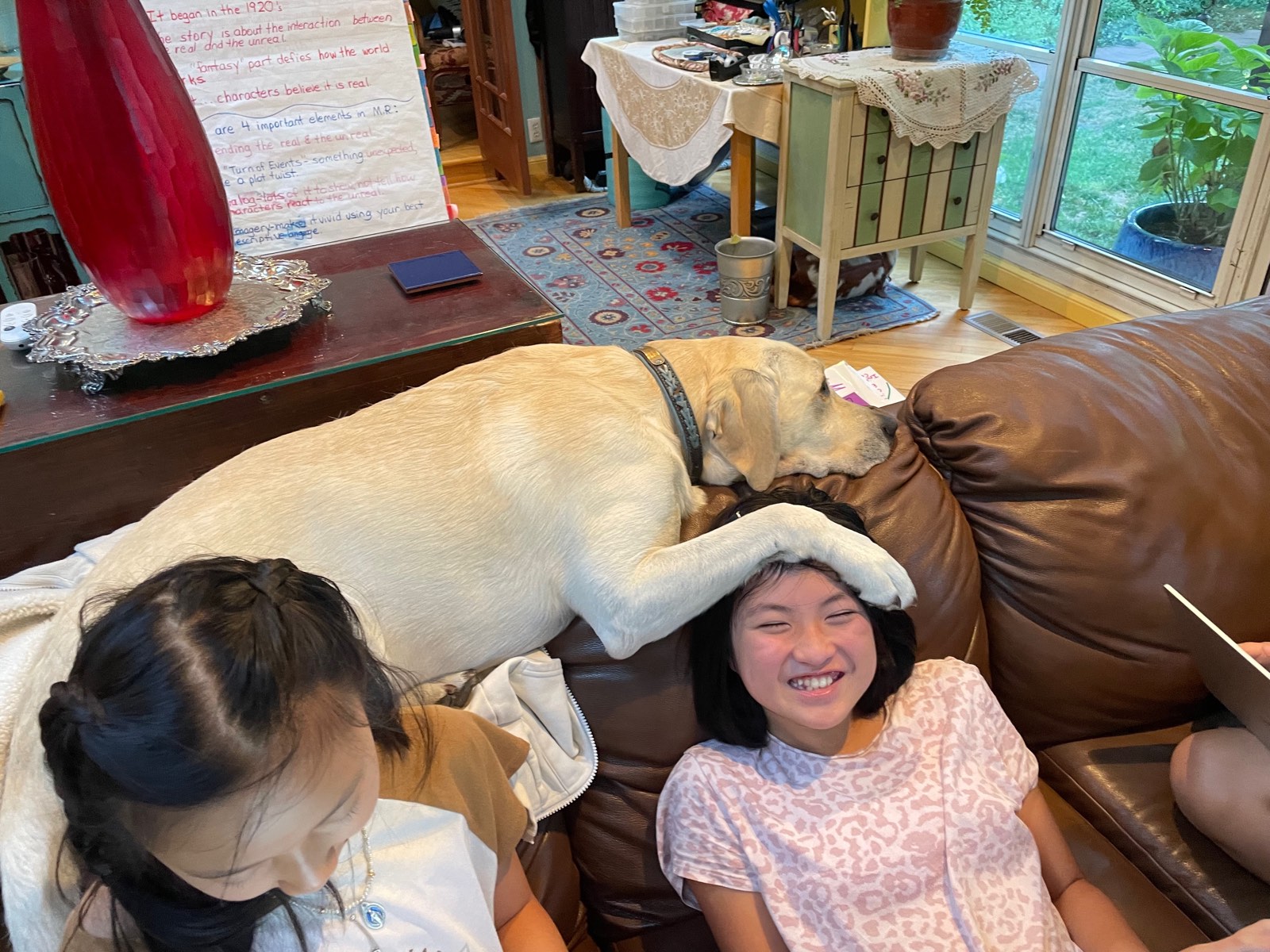 Polar Bear draping a paw on a delighted student's head during class